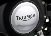 Triumph America